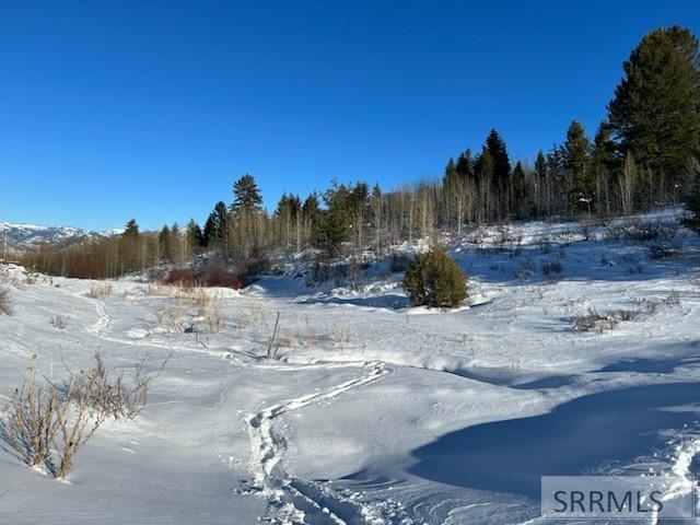 60.8 AC Swan Valley Hwy, RIRIE, Idaho image 12