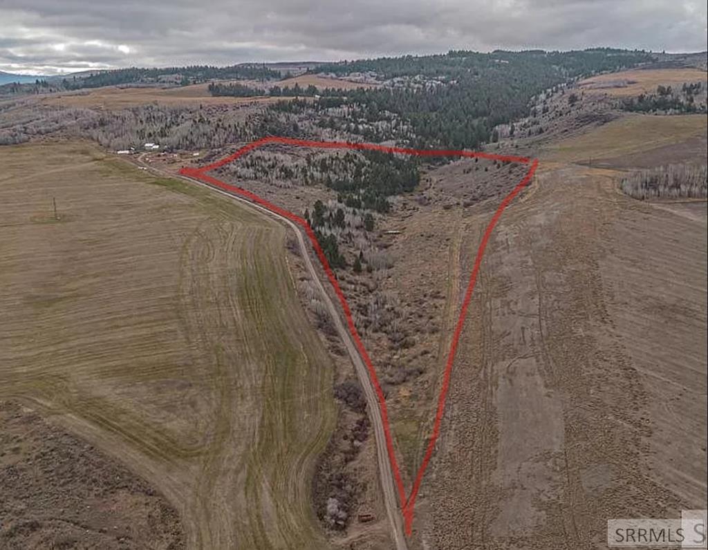 60.8 AC Swan Valley Hwy, RIRIE, Idaho image 4