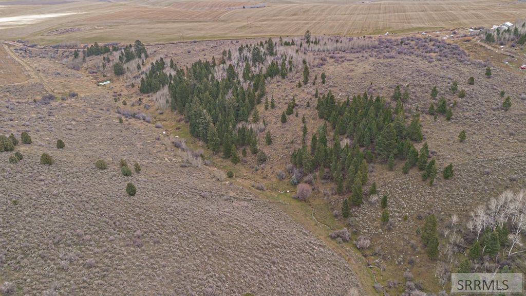 60.8 AC Swan Valley Hwy, RIRIE, Idaho image 26