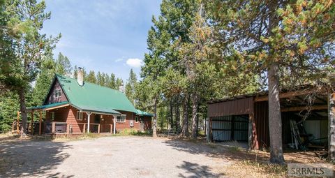Photo of 3808 Moccasin Road, ISLAND PARK, ID 83429 (MLS # 2181749)