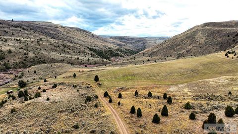 Photo of 0 Dan Creek Road, SHELLEY, ID 83274 (MLS # 2181189)