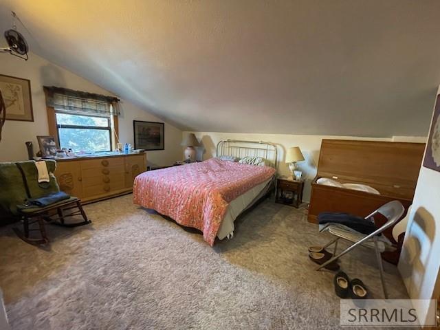 19 Parkview Road, SALMON, Idaho image 28