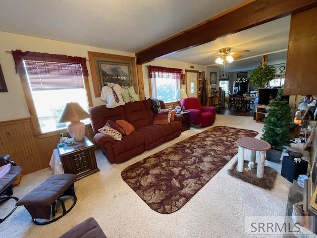 19 Parkview Road, SALMON, Idaho image 7