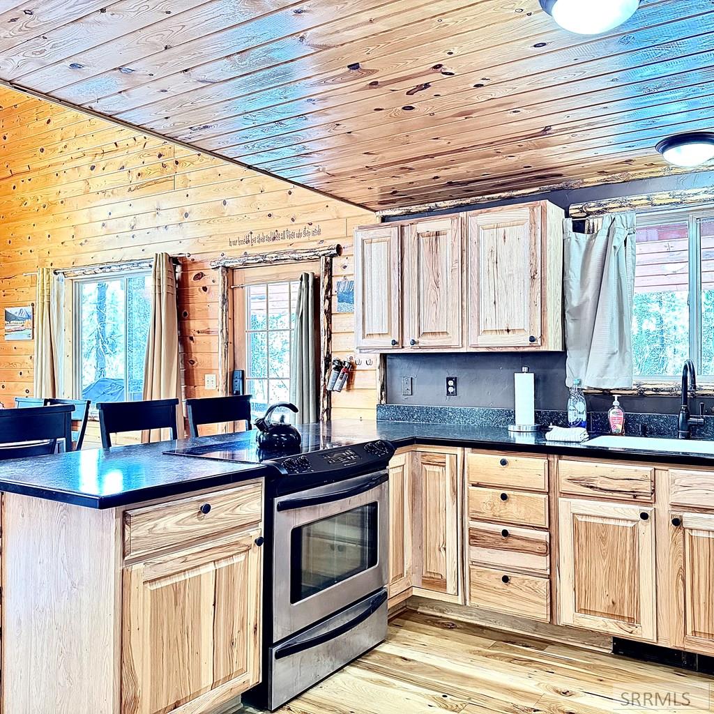 3892 Coho Drive, ISLAND PARK, Idaho image 5