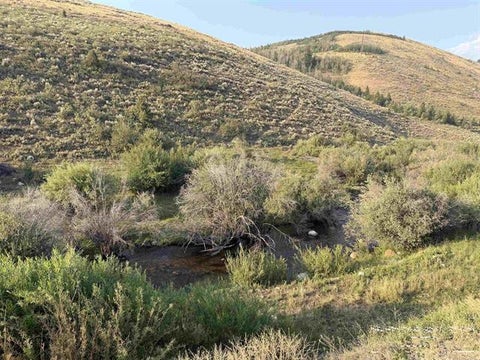 Photo of TBD Lot 3 Canyon Creek Road, BLOOMINGTON, ID 83223 (MLS # 2188444)