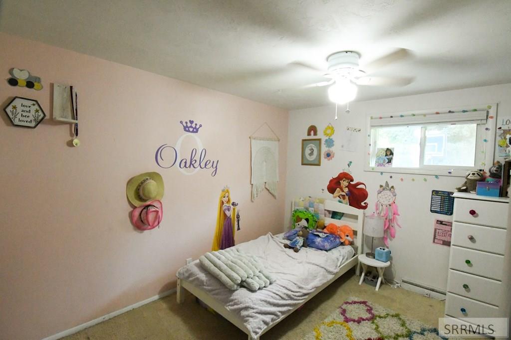 356 N Park Avenue, SHELLEY, Idaho image 13