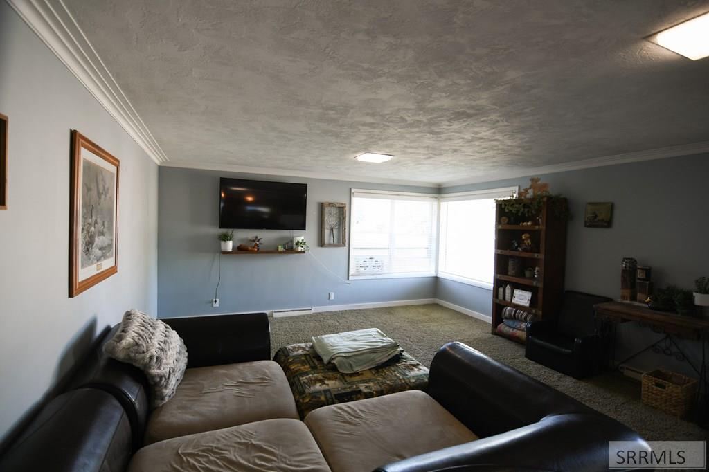 356 N Park Avenue, SHELLEY, Idaho image 3