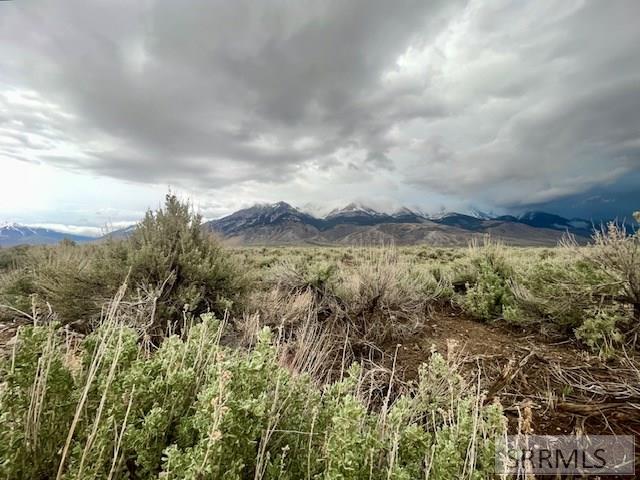TBD Mulligan Road, MACKAY, Idaho image 6
