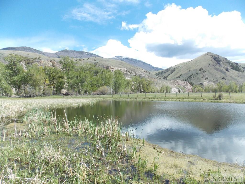 TBD Fife Lane, SALMON, Idaho image 18