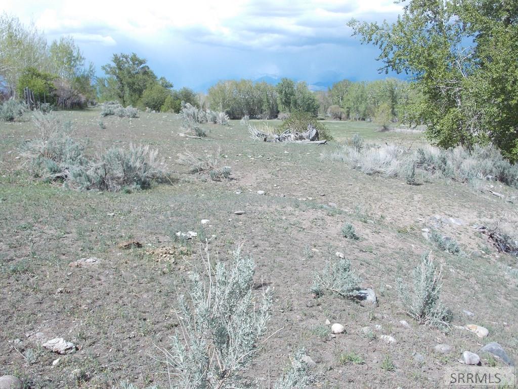 TBD Fife Lane, SALMON, Idaho image 13