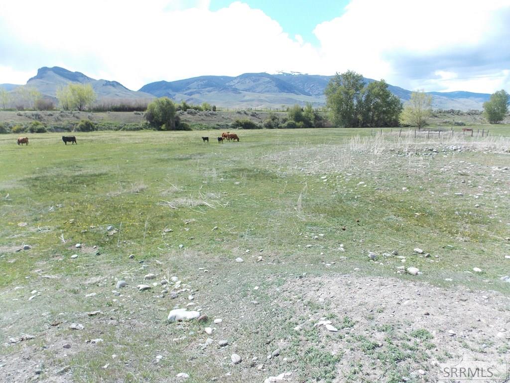 TBD Fife Lane, SALMON, Idaho image 25