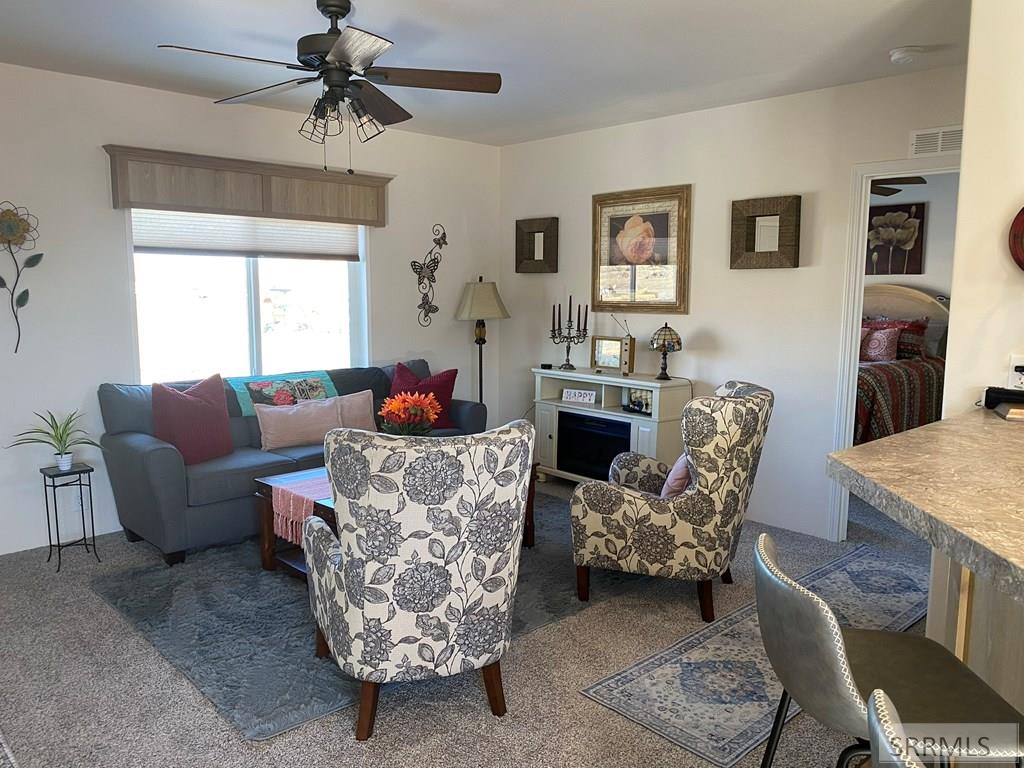 1030 Excelsior Lane, CHALLIS, Idaho image 26