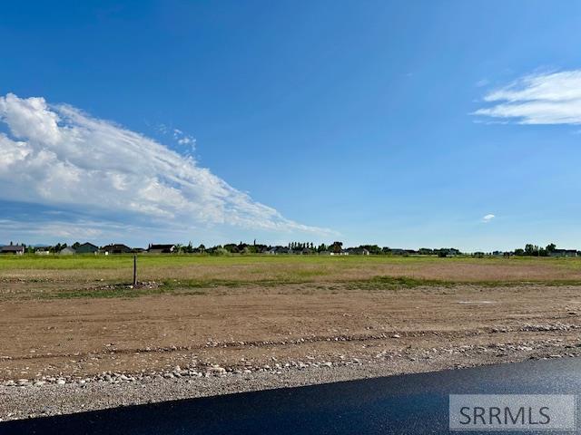 TBD L9 E 172 N, RIGBY, Idaho image 1