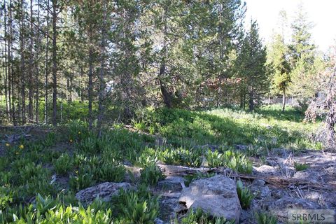 Vacant Land For Sale - 0001 N Buffalo Lane<br/> ISLAND PARK, ID 83429