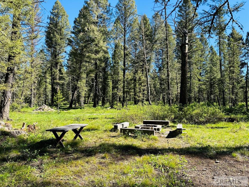 4159 Wooded Lane, ISLAND PARK, Idaho image 13