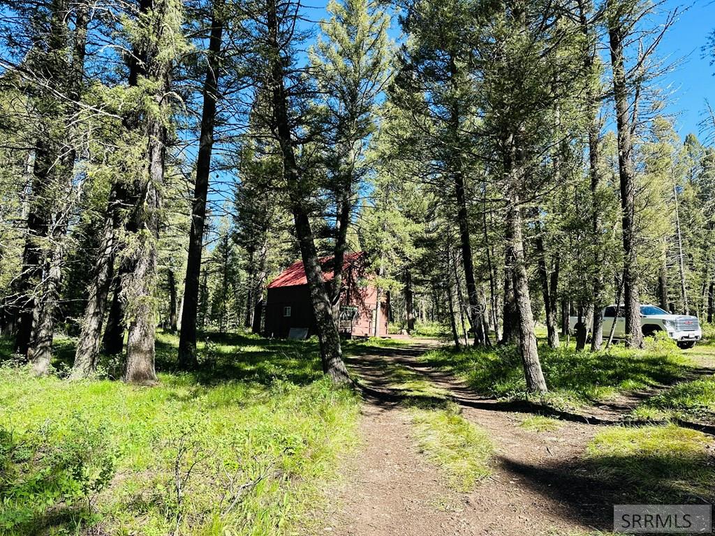 4159 Wooded Lane, ISLAND PARK, Idaho image 18