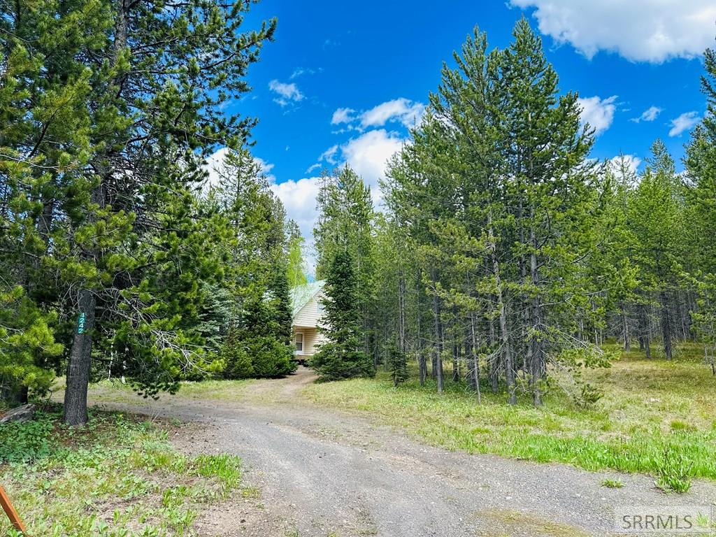 4159 Wooded Lane, ISLAND PARK, Idaho image 14