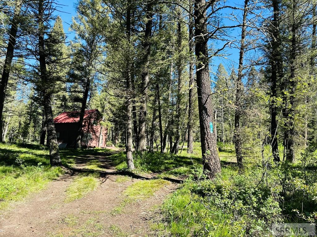 4159 Wooded Lane, ISLAND PARK, Idaho image 20