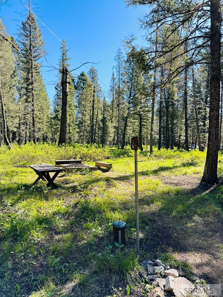 4159 Wooded Lane, ISLAND PARK, Idaho image 15