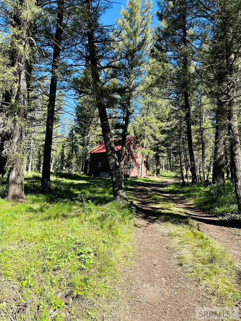 4159 Wooded Lane, ISLAND PARK, Idaho image 19