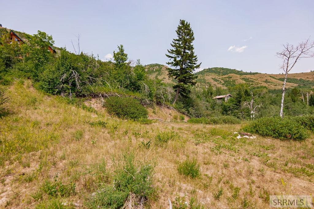 LOT 5 Shady Lane, IRWIN, Idaho image 6