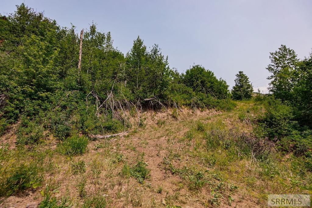 LOT 5 Shady Lane, IRWIN, Idaho image 7