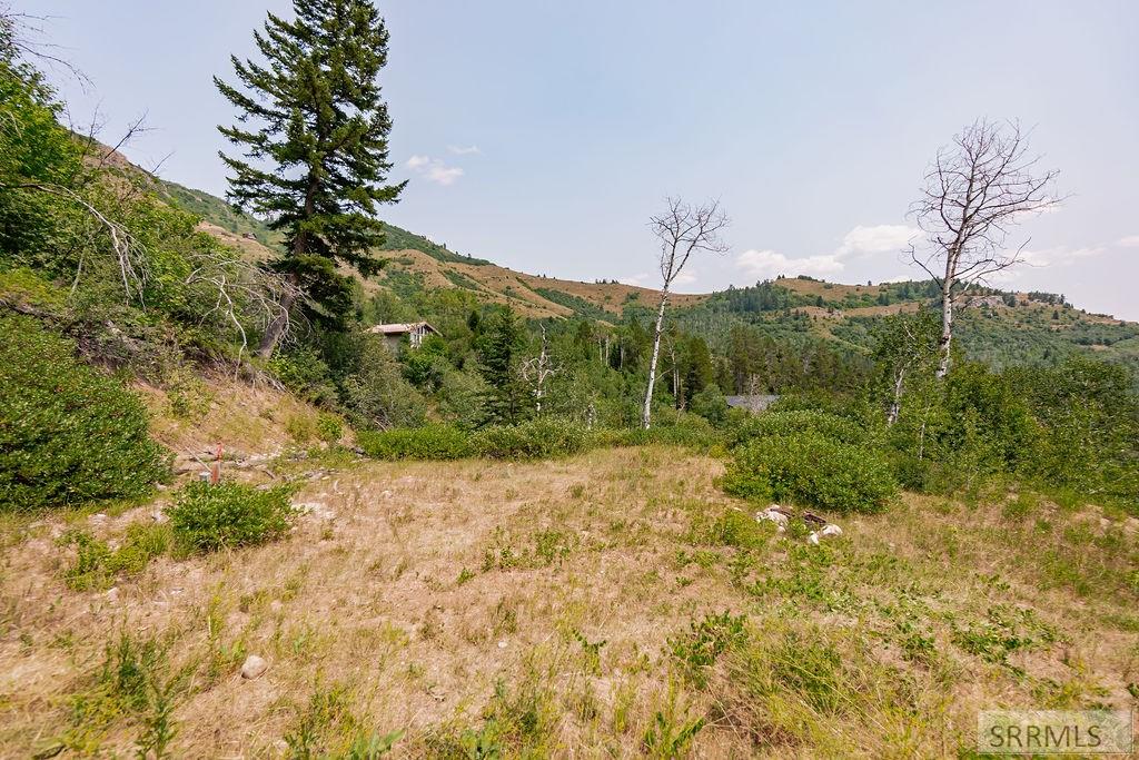 LOT 5 Shady Lane, IRWIN, Idaho image 8