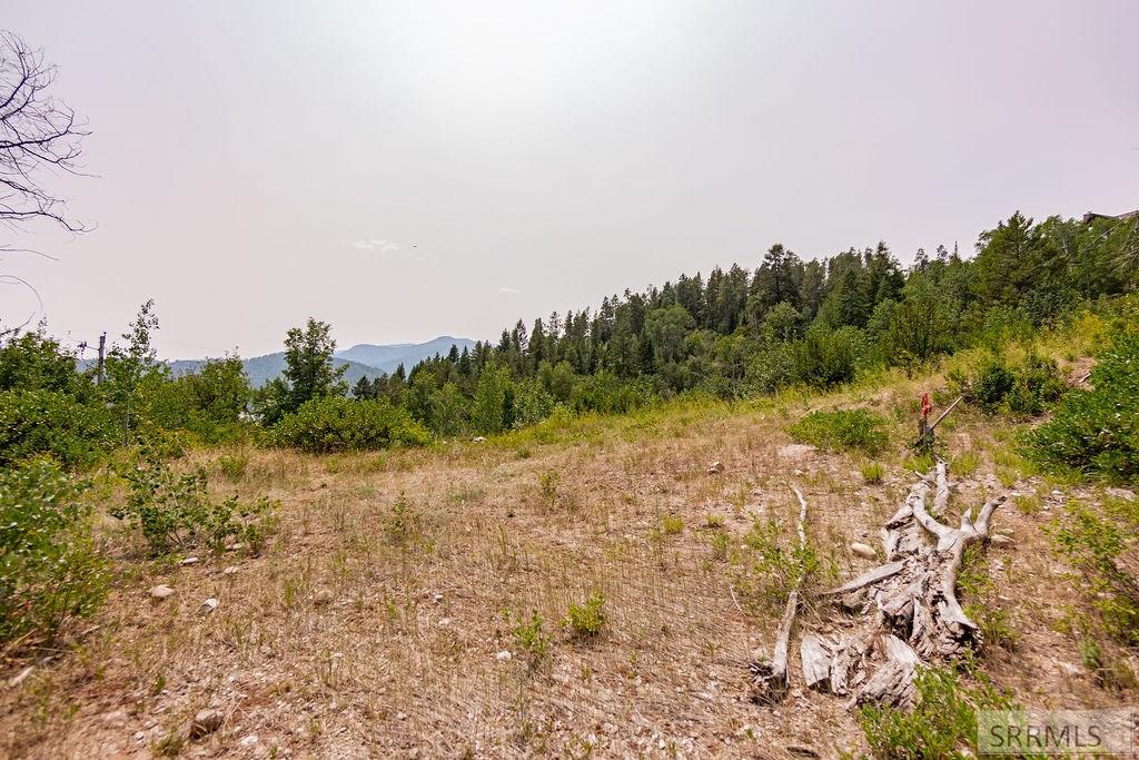 LOT 5 Shady Lane, IRWIN, Idaho image 9