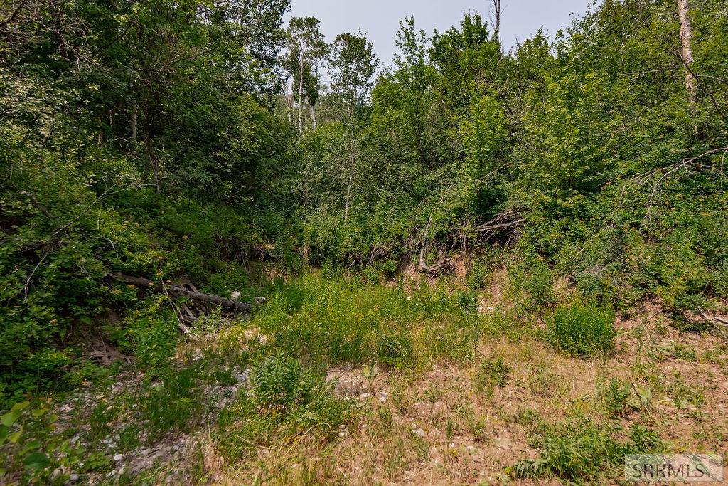 LOT 5 Shady Lane, IRWIN, Idaho image 16