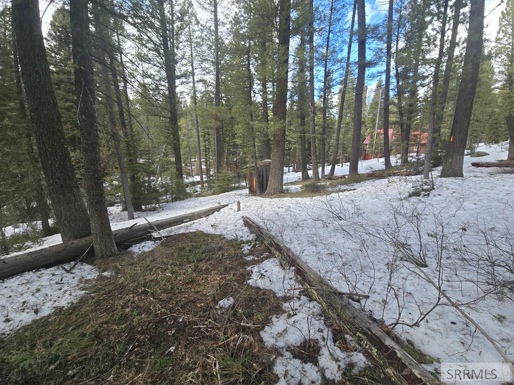 4147 Pine Crest Drive, ISLAND PARK, Idaho image 4