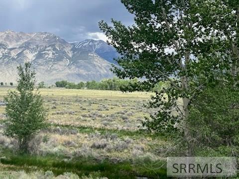 5500 N Chilly Road, MACKAY, Idaho image 4