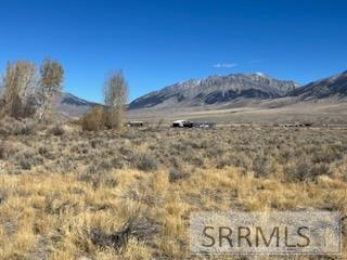 5500 N Chilly Road, MACKAY, Idaho image 4