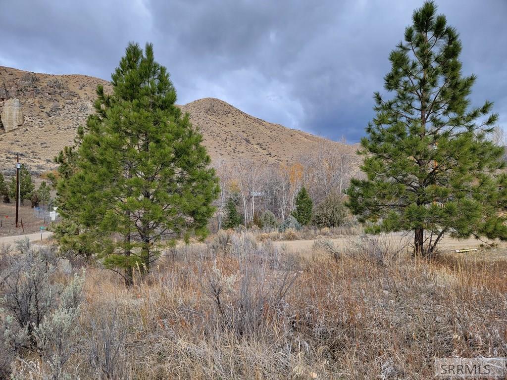 NKN E Tower Creek Road, CARMEN, Idaho image 8