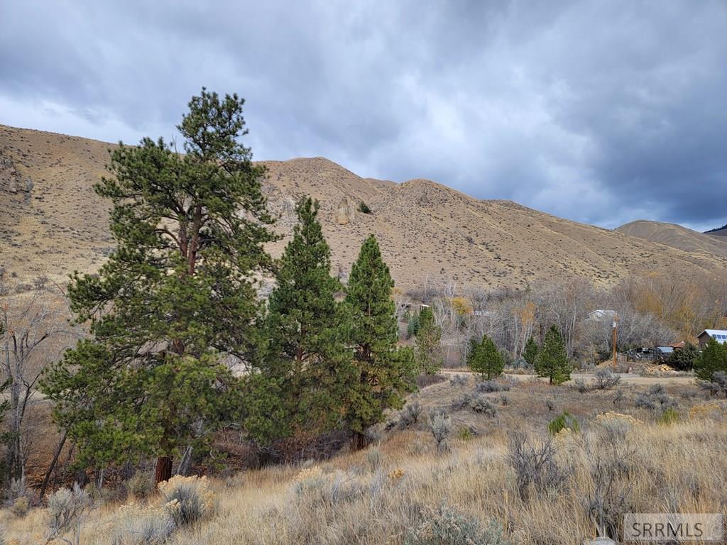 NKN E Tower Creek Road, CARMEN, Idaho image 17