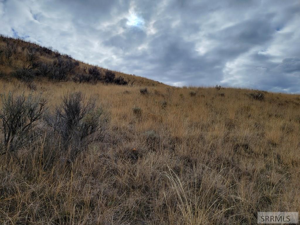 NKN E Tower Creek Road, CARMEN, Idaho image 18