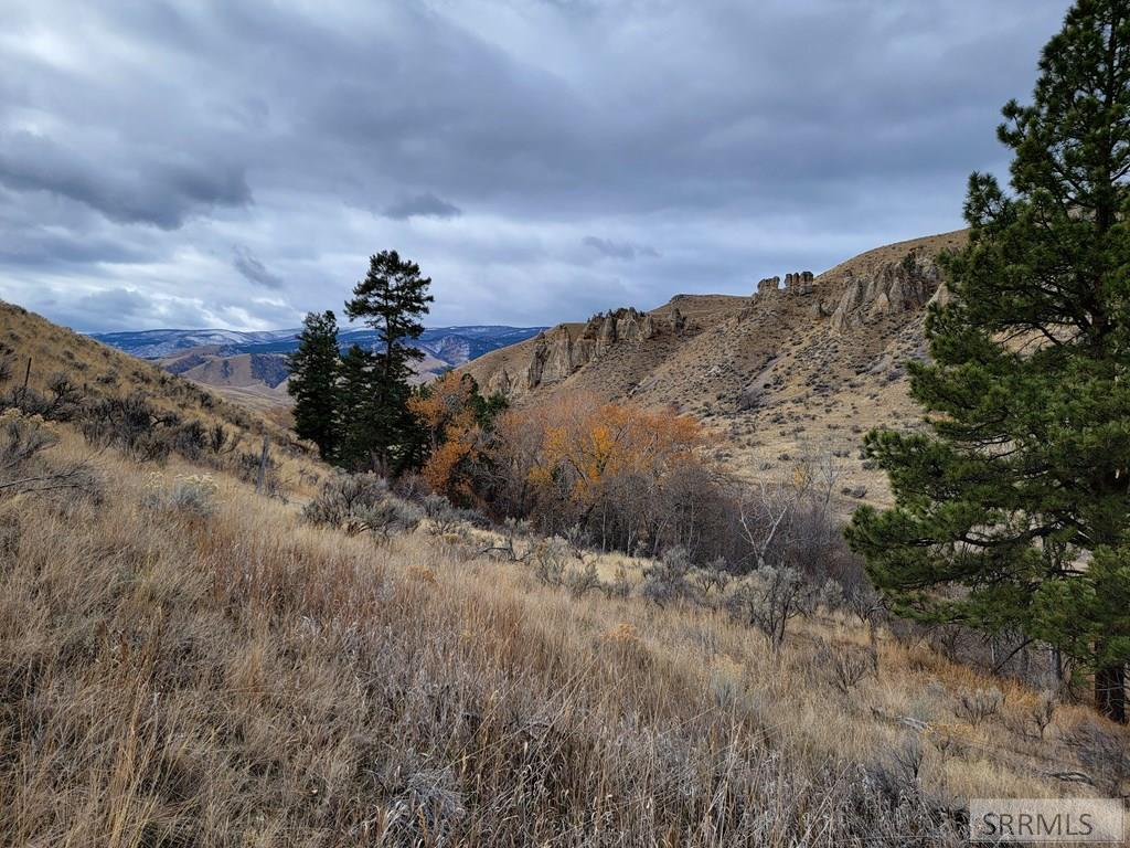 NKN E Tower Creek Road, CARMEN, Idaho image 14