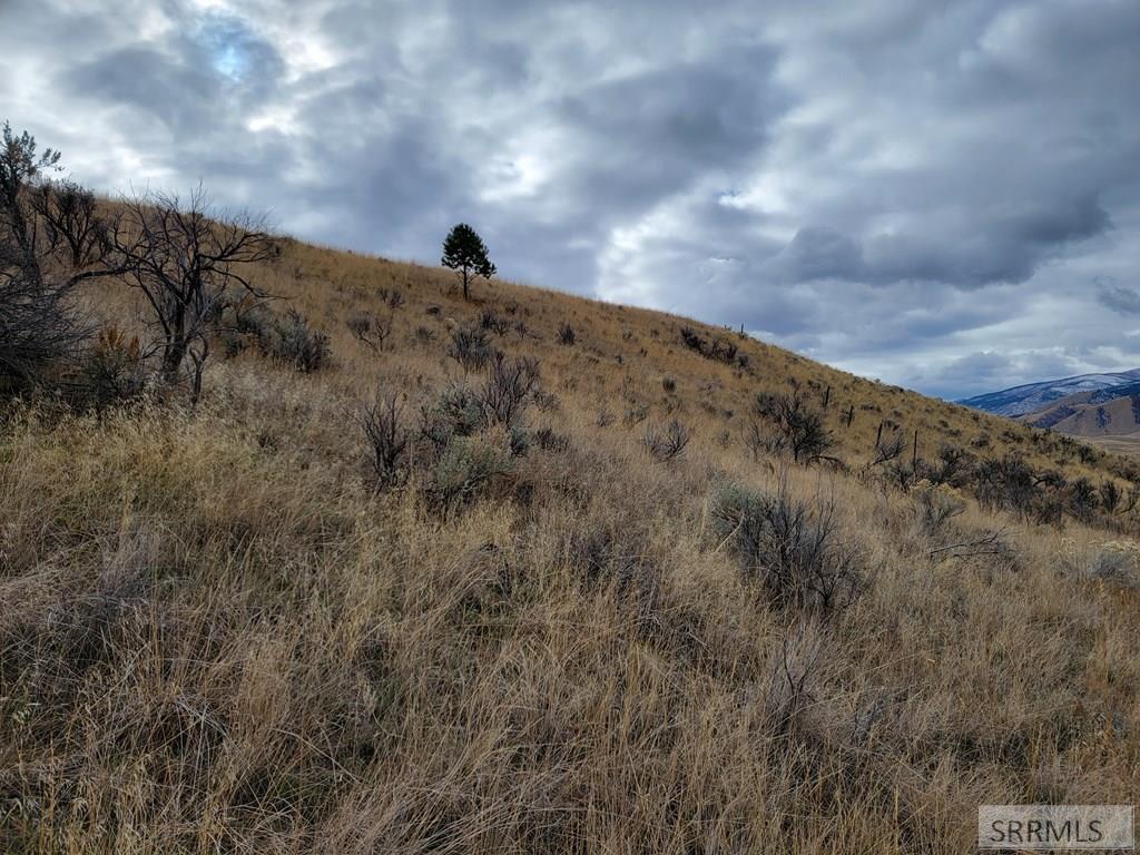 NKN E Tower Creek Road, CARMEN, Idaho image 15