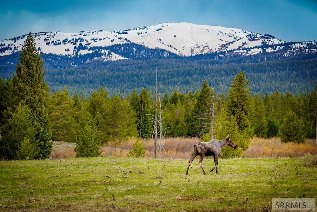 3774 Century Drive, ISLAND PARK, Idaho image 16