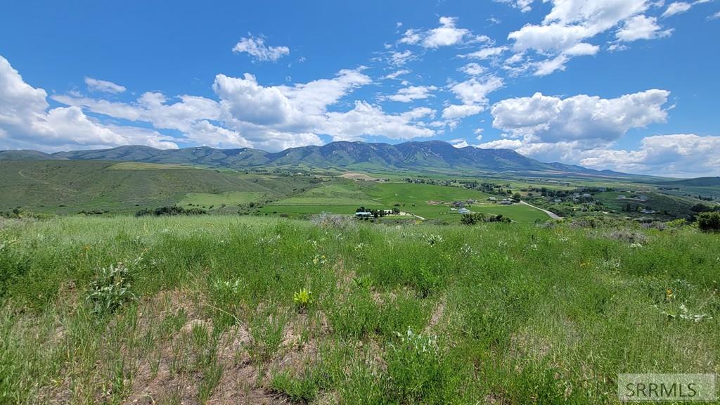 TBD Rapid Creek Road, INKOM, Idaho image 7