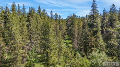 Vacant Land For Sale - 4585 E 1400 N<br/> Fremont County, ASHTON, ID 83420