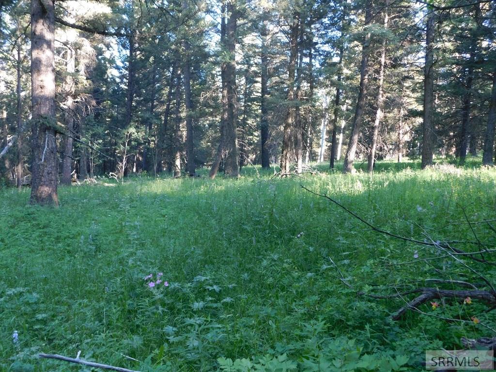 4930 Alpenglow Way, ISLAND PARK, Idaho image 4