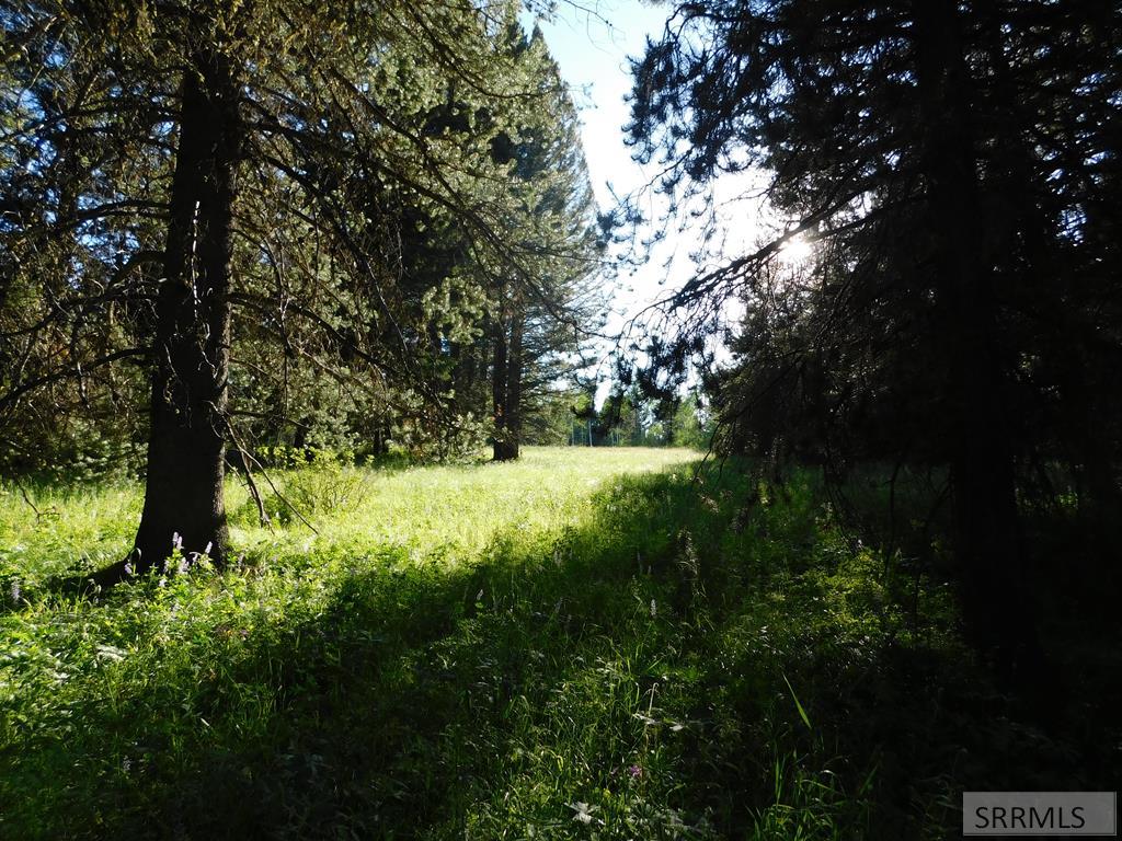 4930 Alpenglow Way, ISLAND PARK, Idaho image 1
