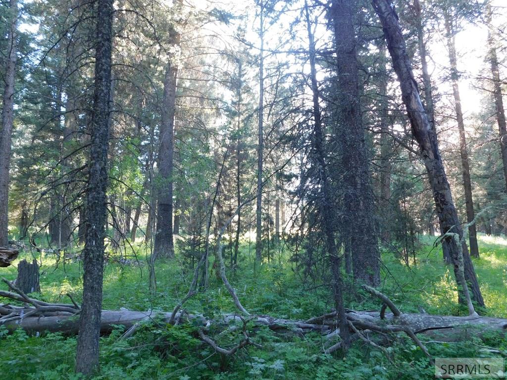 4930 Alpenglow Way, ISLAND PARK, Idaho image 3