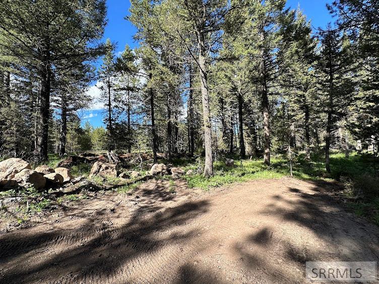 2773 NE Sage Hen Drive, ISLAND PARK, Idaho image 41