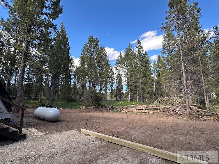 2773 NE Sage Hen Drive, ISLAND PARK, Idaho image 48