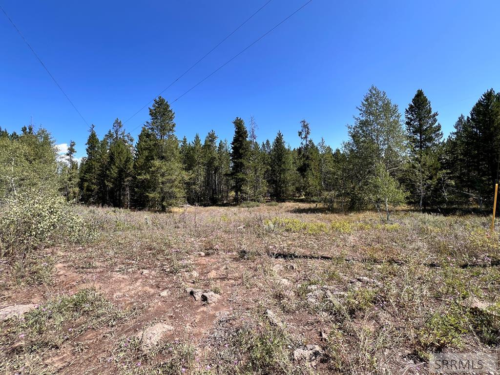 3334 Lupine Circle, ISLAND PARK, Idaho image 4