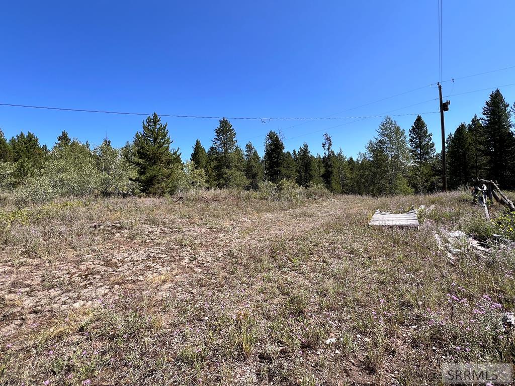 3334 Lupine Circle, ISLAND PARK, Idaho image 10