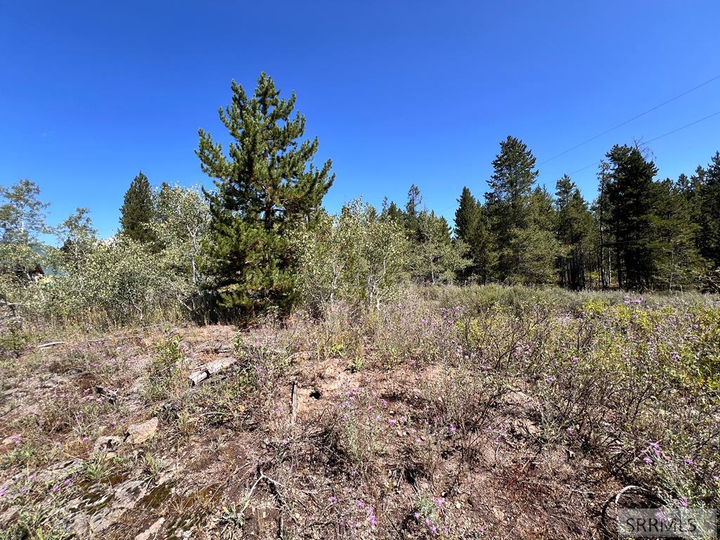 3334 Lupine Circle, ISLAND PARK, Idaho image 5