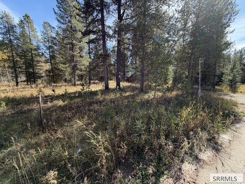 Vacant Land For Sale - TBD Beaver Drive<br/> ISLAND PARK, ID 83429