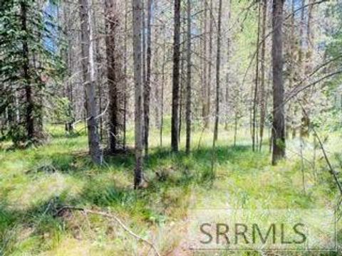 Vacant Land For Sale - 4009 Coyote Road<br/> ISLAND PARK, ID 83420